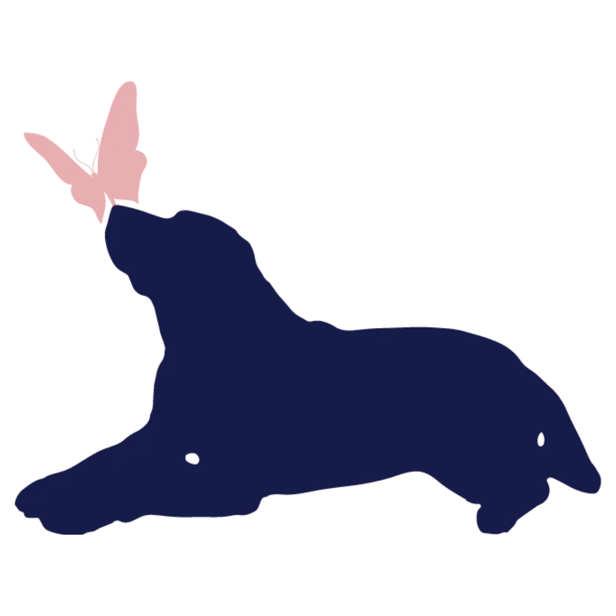 Fletchers Keep Senior Dog Foundation logo
